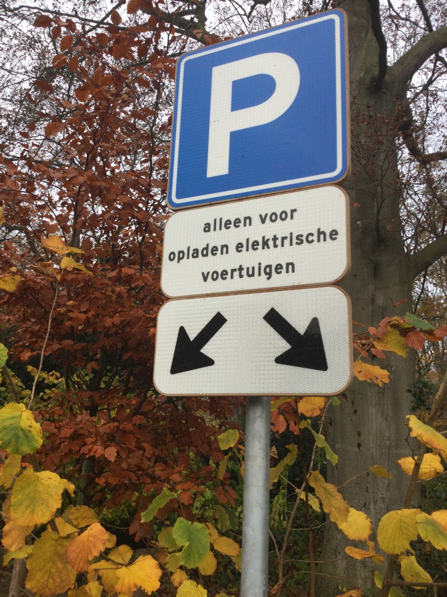 Rijstvliesbord